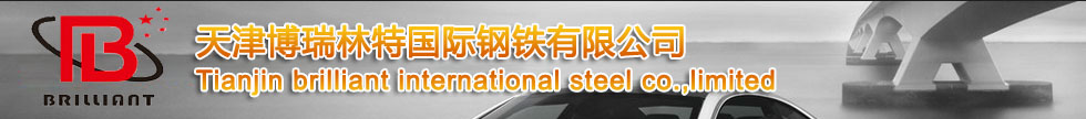 China Brilliant Steel Group 